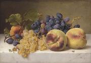 A Still Life with Peaches and Grapes on a Marble Ledge johan